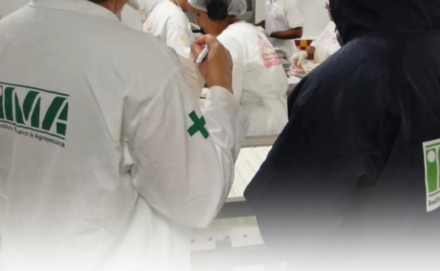 Ribercon - POR TRÁS DE CADA ALIMENTO SEGURO, HÁ TRABALHO TÉCNICO, RESPONSABILIDADE E COMPROMISSO